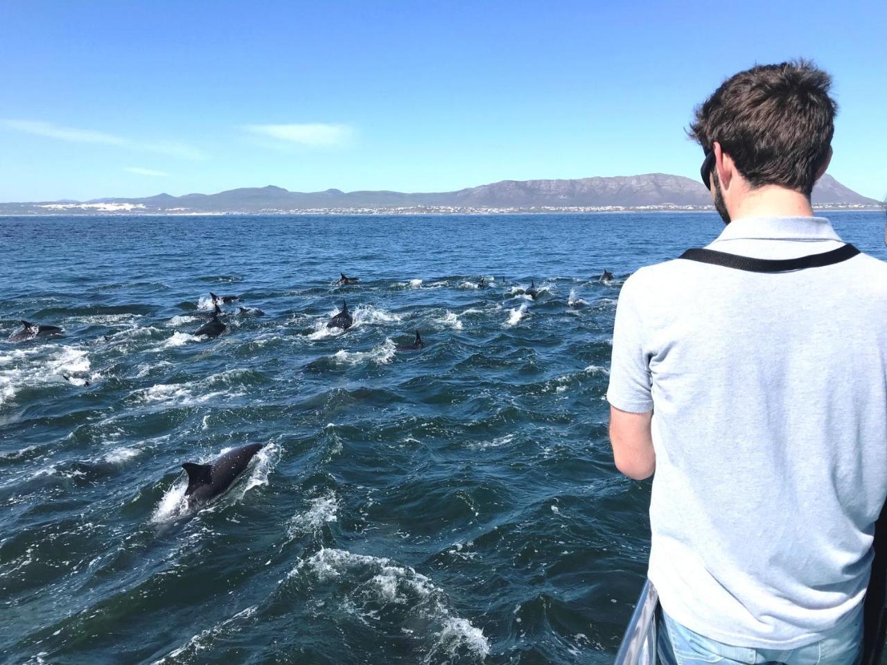 דירות דה קלדרס Whaletale מראה חיצוני תמונה